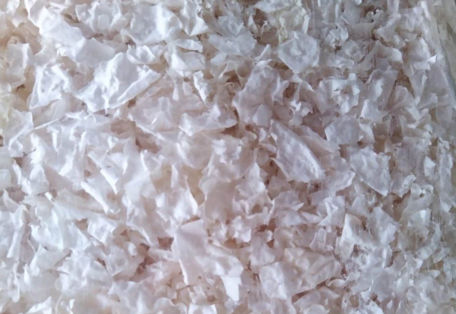 Egg Membrane Powder